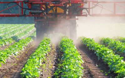 Pesticides et neurodeveloppement de l’enfant